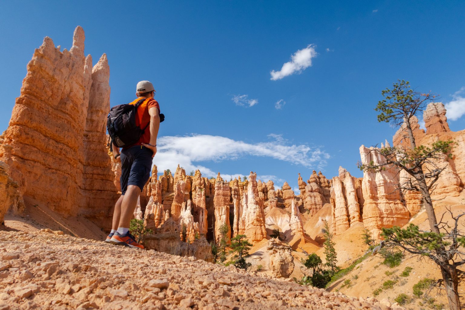 Bryce, Zion, Monument Valley and Grand Canyon - Bindlestiff Tours